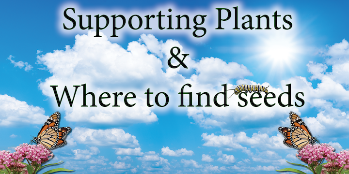 Supporting Plants and where to find seeds